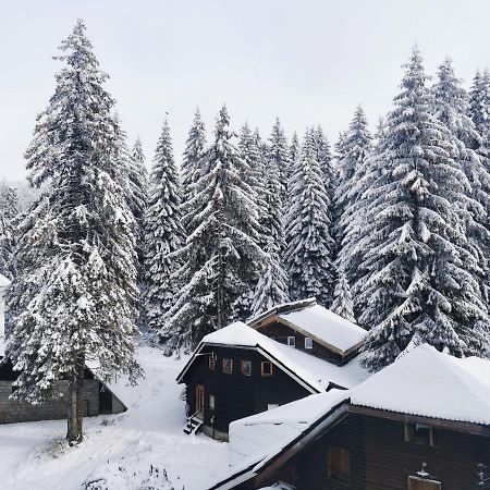 Apartments Zed Vila Zvoncica Kopaonik Eksteriør bilde