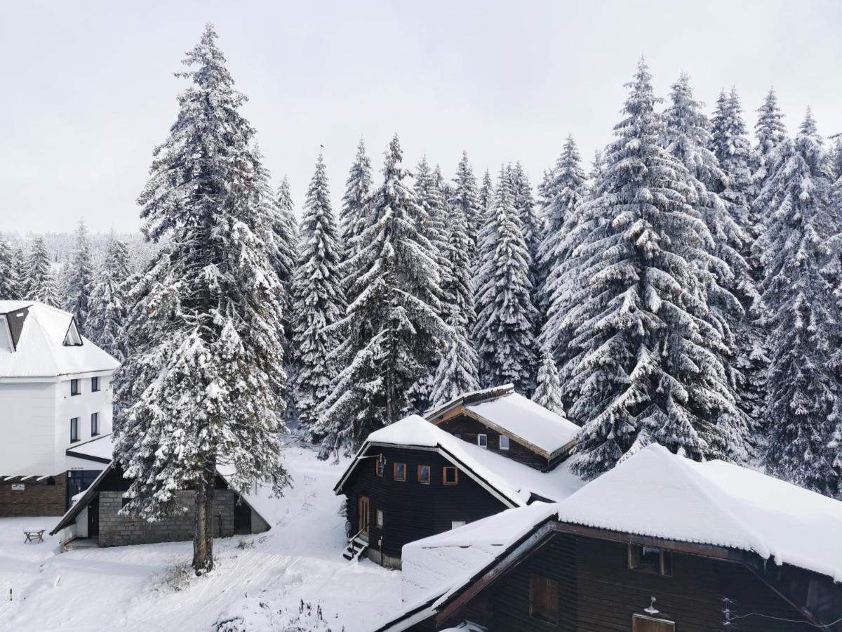 Apartments Zed Vila Zvoncica Kopaonik Eksteriør bilde