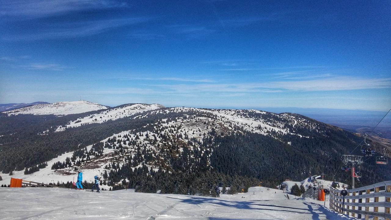 Apartments Zed Vila Zvoncica Kopaonik Eksteriør bilde