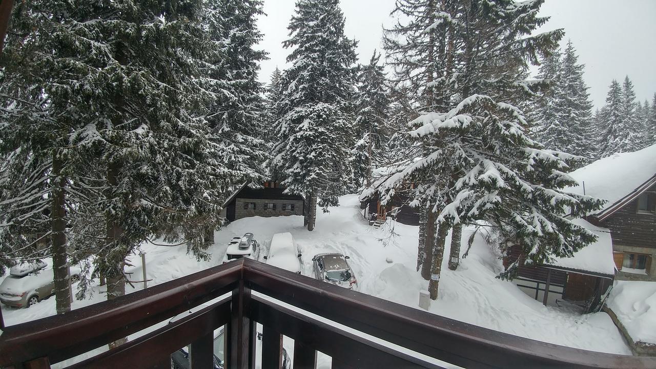 Apartments Zed Vila Zvoncica Kopaonik Eksteriør bilde