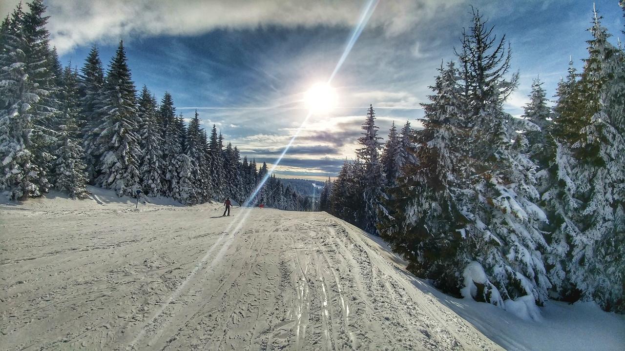 Apartments Zed Vila Zvoncica Kopaonik Eksteriør bilde