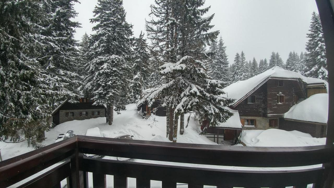 Apartments Zed Vila Zvoncica Kopaonik Eksteriør bilde
